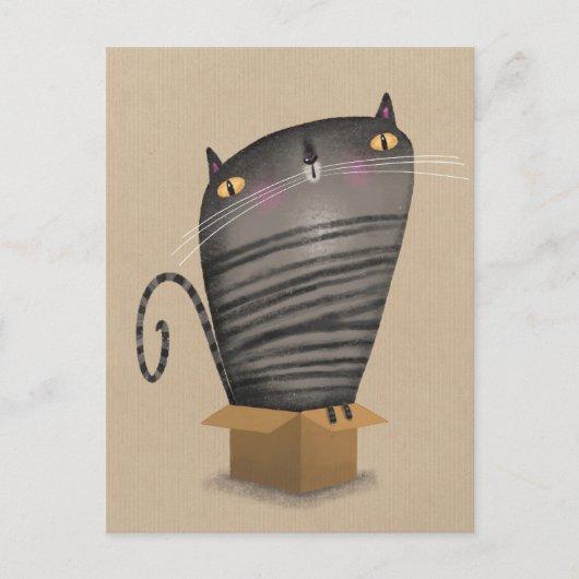 Tabby cat in box ポストカード (正面)
