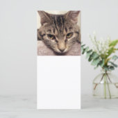 Tabby Cat-Instagram by Shirley Taylor (スタンド正面)