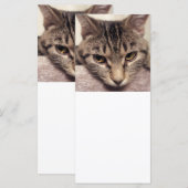 Tabby Cat-Instagram by Shirley Taylor (正面/裏面)