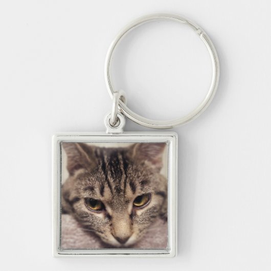Tabby Cat-Instagram by Shirley Taylor キーホルダー (正面)