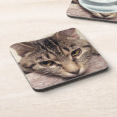 Tabby Cat-Instagram by Shirley Taylor コースター (左側)
