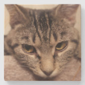 Tabby Cat-Instagram by Shirley Taylor ストーンコースター (正面)