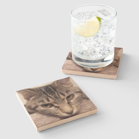 Tabby Cat-Instagram by Shirley Taylor ストーンコースター (横)