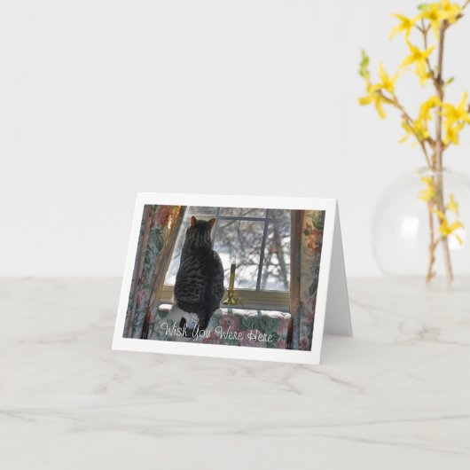 Tabby Cat Looking Outウィンドウ カード (黄色い花)