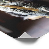 Tabby Cat on Wooden Dining Chair写真プリント ポスター (角)