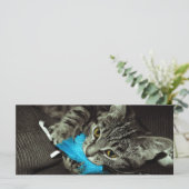 Tabby Cat with Feather by Shirley Taylor (スタンド正面)
