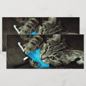 Tabby Cat with Feather by Shirley Taylor (正面/裏面)