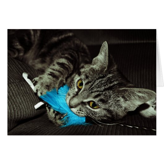 Tabby Cat with Feather by Shirley Taylor (正面横)