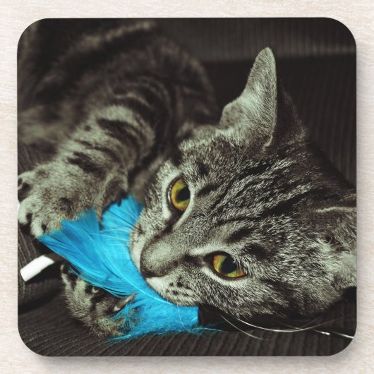 Tabby Cat with Feather by Shirley Taylor コースター (正面)