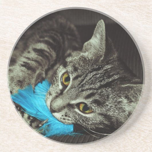 Tabby Cat with Feather by Shirley Taylor コースター (正面)