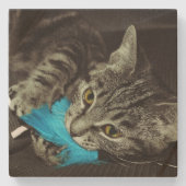 Tabby Cat with Feather by Shirley Taylor ストーンコースター (正面)