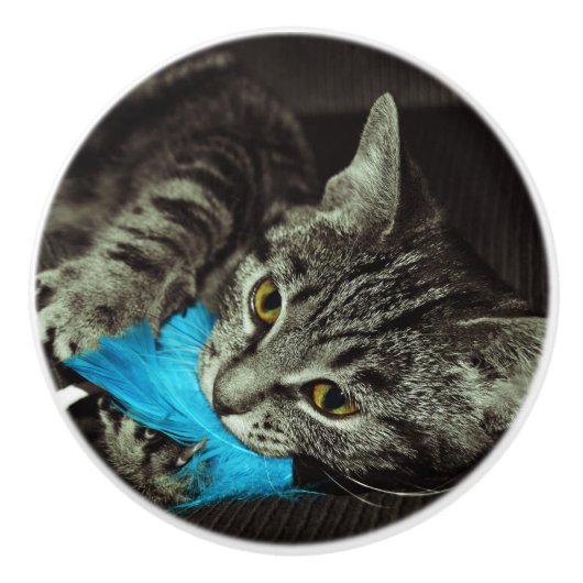 Tabby Cat with Feather by Shirley Taylor セラミックノブ (正面)