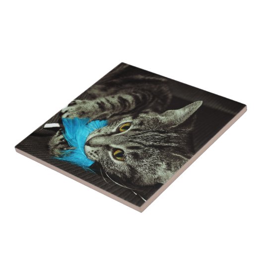 Tabby Cat with Feather by Shirley Taylor タイル (側面)