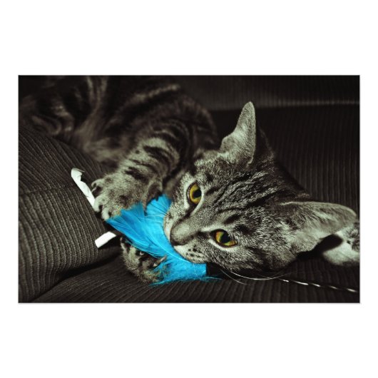 Tabby Cat with Feather by Shirley Taylor フォトプリント (正面)