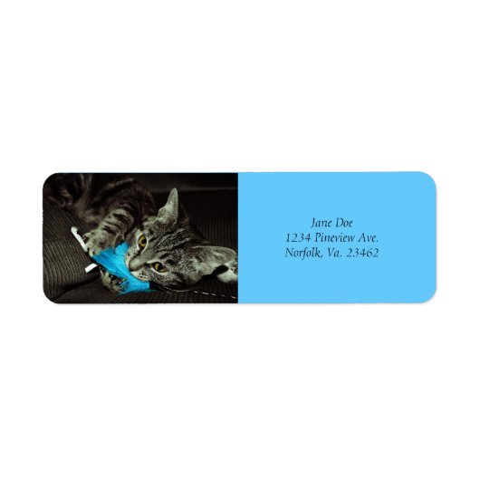 Tabby Cat with Feather by Shirley Taylor ラベル (正面)