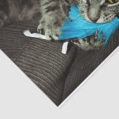 Tabby Cat with Feather by Shirley Taylor 薄葉紙 (詳細)
