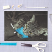 Tabby Cat with Feather by Shirley Taylor 薄葉紙 (クラフト)