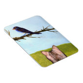 Tabby Cats Talk to Birds マグネット (右側)