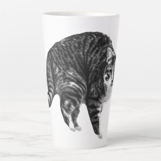 Tabby Glow by Winter Window カフェラテマグ (正面)