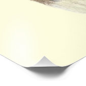 Tabby Kitten 24x36 Poster フォトプリント (角)