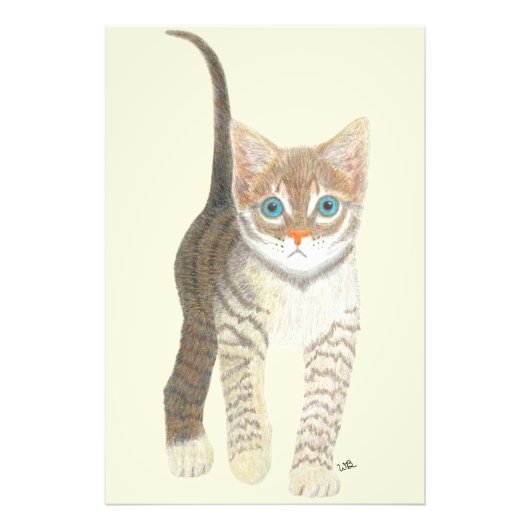 Tabby Kitten 24x36 Poster フォトプリント (正面)