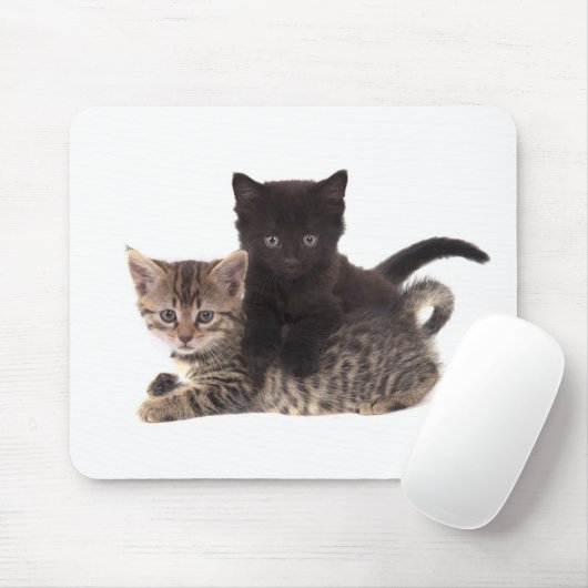 tabby kitten black kitten マウスパッド (マウス)