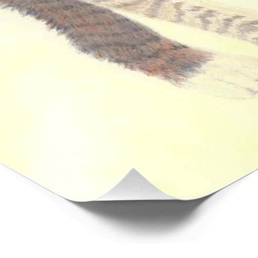 Tabby Kitten Poster フォトプリント (角)