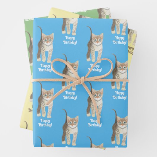 Tabby Kitten Wrapping Paper Sheets Personalize ラッピングペーパーシート (インサイチュ)