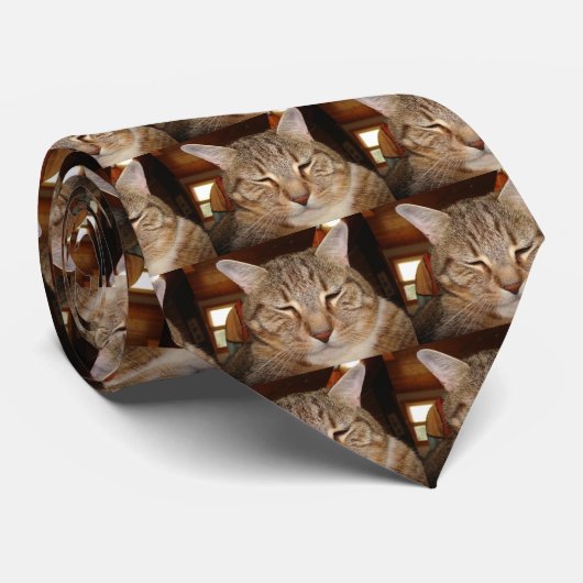 Tabby Tiger Cat ネクタイ (ロール)