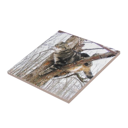 Tabbycatタイル タイル (側面)