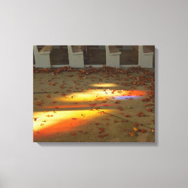 Tabernacle葉のと光 – Martha's Vineyard キャンバスプリント