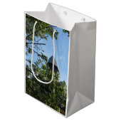 Tabernacle in春- Martha's Vineyard ミディアムペーパーバッグ (正面アングル)