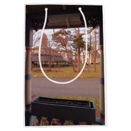 Tabernacle View from the Porch - Martha's Vineyard ミディアムペーパーバッグ