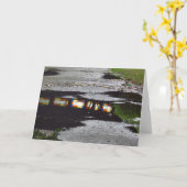 Tabernacle Window Reflection - Martha's Vineyard カード (黄色い花)