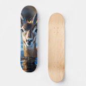 Tabla de Skate Antílope Veloz con Cuernos スケートボード (正面)