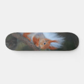 Tabla de Skate Ardilla en un Árbol スケートボード (横)