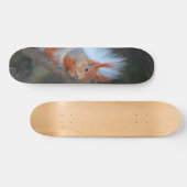 Tabla de Skate Ardilla en un Árbol スケートボード (横)