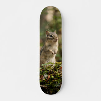 Tabla de Skate Ardilla Silvestre Alerta スケートボード