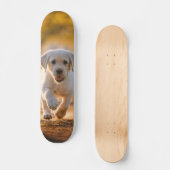 Tabla de Skate Cachorro Blanco Corriendo スケートボード (正面)
