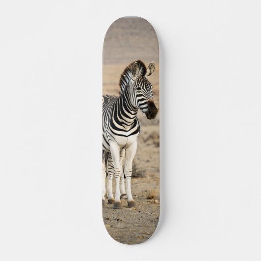 Tabla de Skate Cebra Animal Salvaje スケートボード (正面)