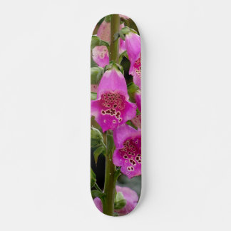 Tabla de Skate Flores de Tulipanes Rosados スケートボード