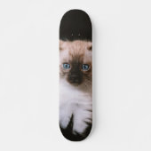 Tabla de Skate Gatico Peludo de Ojos Azules スケートボード (正面)