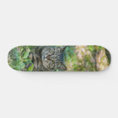 Tabla de Skate Gato Gris Atigrado en un Prado スケートボード (横)