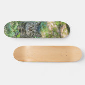 Tabla de Skate Gato Gris Atigrado en un Prado スケートボード (横)