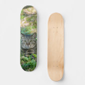 Tabla de Skate Gato Gris Atigrado en un Prado スケートボード (正面)