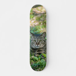 Tabla de Skate Gato Gris Atigrado en un Prado スケートボード
