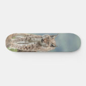 Tabla de Skate Gato Montés Silvestre スケートボード (横)