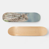 Tabla de Skate Gato Montés Silvestre スケートボード (横)