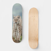 Tabla de Skate Gato Montés Silvestre スケートボード (正面)