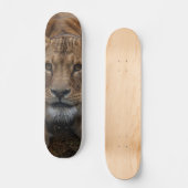 Tabla de Skate León Atento para Cazar スケートボード (正面)